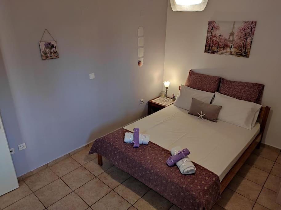 Petra House Villa Екстериор снимка